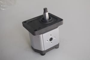 China Small  Rexroth Hydraulic Gear Pumps 2B0 with M6 Thread Depth 13 Industrial supplier