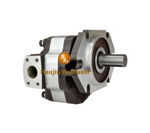 China Hydraulic  Pump supplier